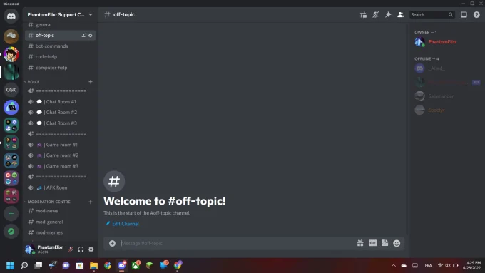 How to Make a Professional Discord Server